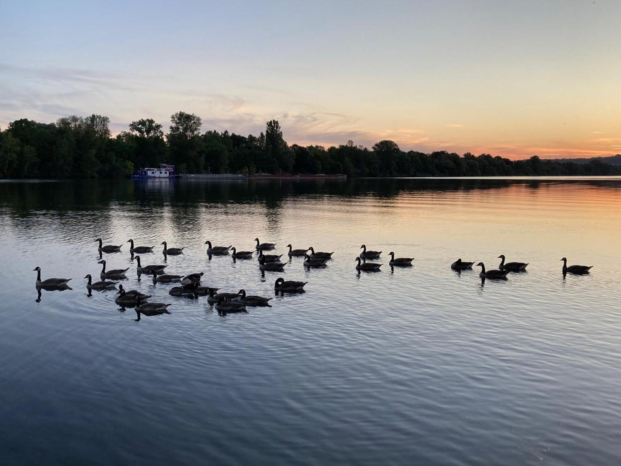 Seinehouse - Maison Flottante Vaux-Sur-Seine Dış mekan fotoğraf